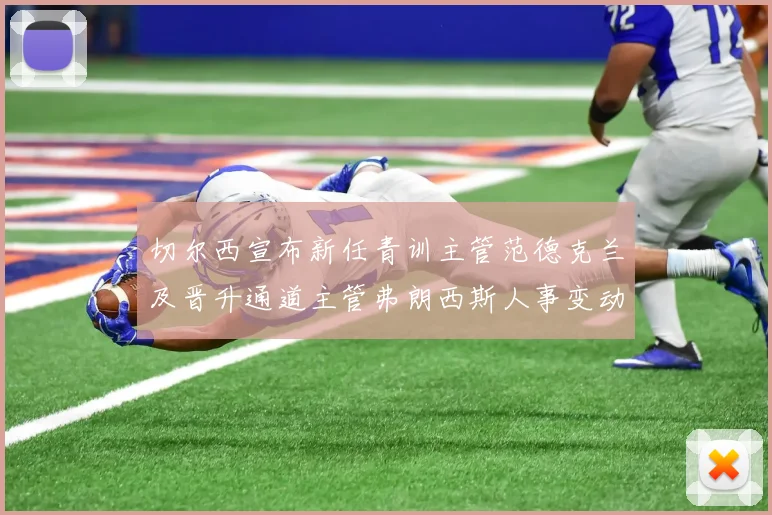 切尔西宣布新任青训主管范德克兰及晋升通道主管弗朗西斯人事变动