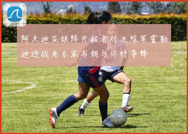 阿夫迪亚缺阵开拓者对决绿军霍勒迪迎战老东家布朗与怀特争锋