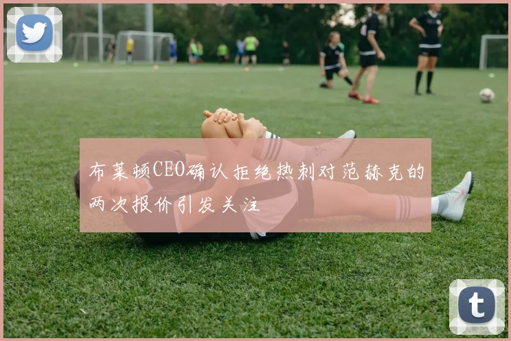 布莱顿CEO确认拒绝热刺对范赫克的两次报价引发关注