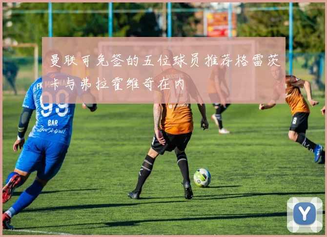 曼联可免签的五位球员推荐格雷茨卡与弗拉霍维奇在内