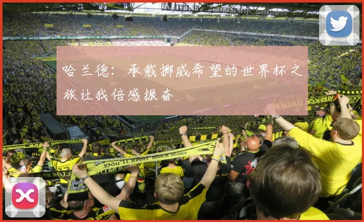 哈兰德：承载挪威希望的世界杯之旅让我倍感振奋
